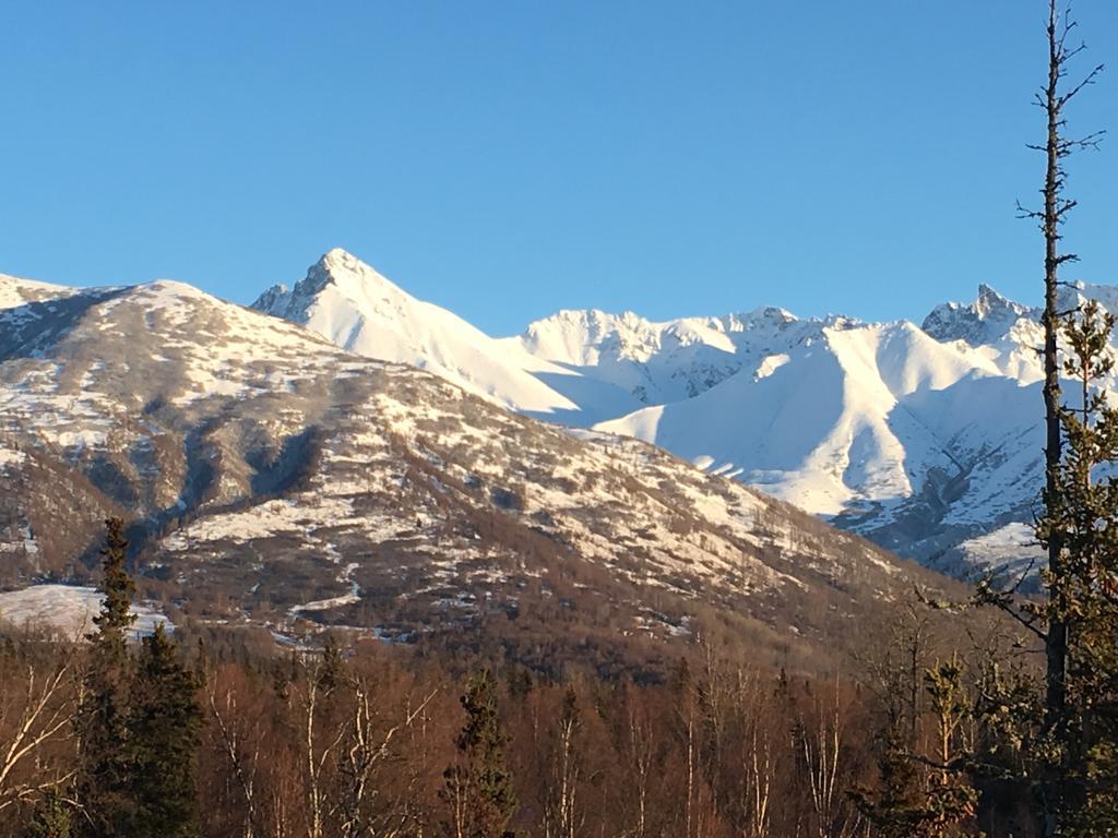 Alaska Knotty Pine B&B Palmer Exterior foto